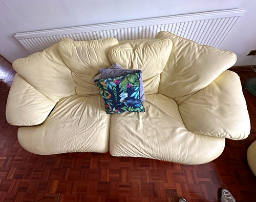 Pair pale yellow leather - pale,